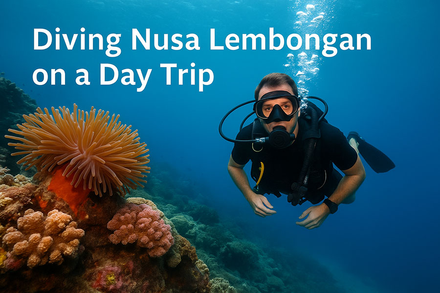Diving Nusa Lembongan 01 | www.balitouristic.com