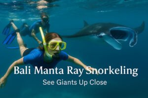 manta ray snorkeling | www.balitouristic.com