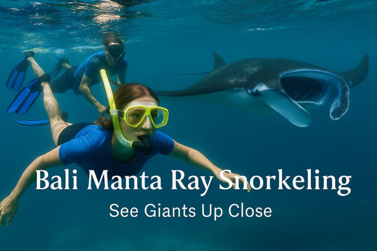Manta Ray Snorkeling Bali: Nusa Penida Complete Guide