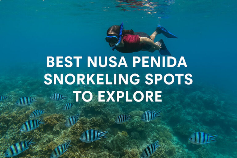 Snorkeling in Nusa Penida: Best Spots, Manta Rays & Tips