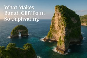 tree house nusa penida - penida travel guide | balitouristic.com