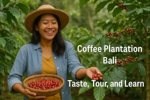 Coffee Plantation Bali 01 | www.balitouristic.com