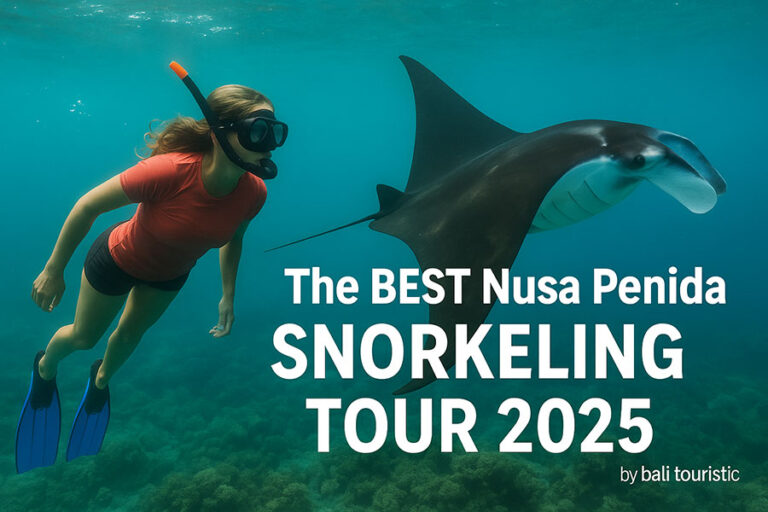 Nusa Penida Snorkeling Tour: Best Underwater Experience