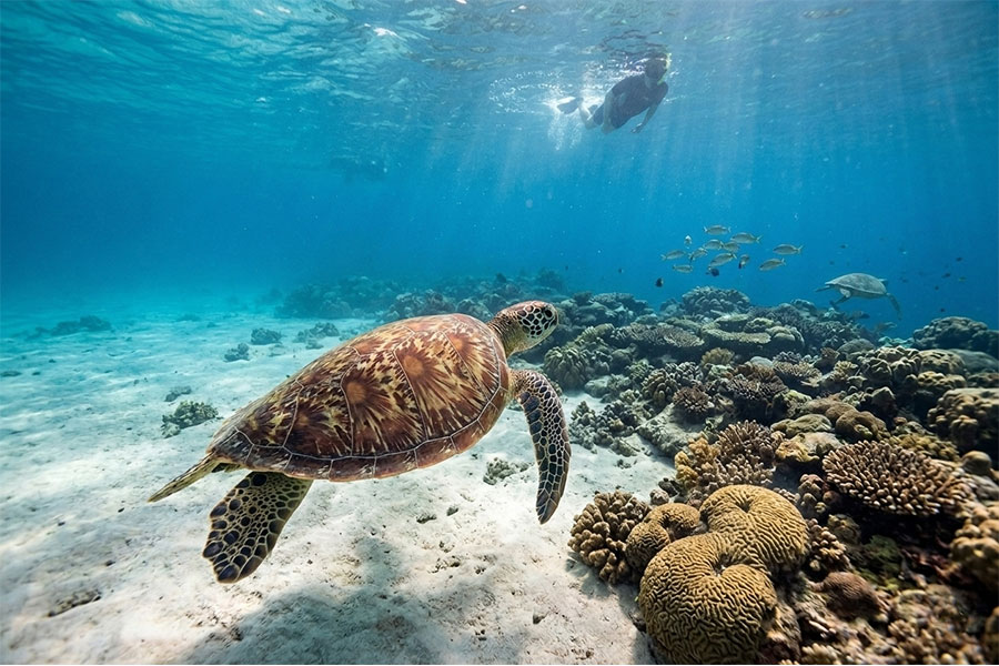 Trip to Gili Islands 01 | www.balitouristic.com