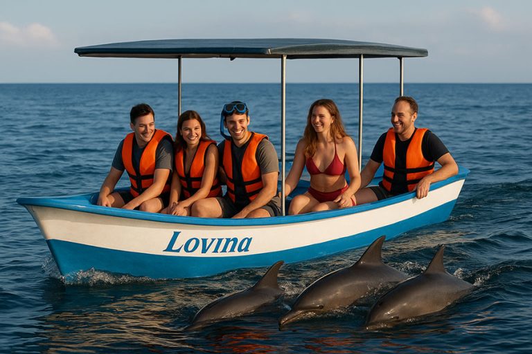 Lovina Dolphin Watching and Snorkeling Tour for Ocean Lovers