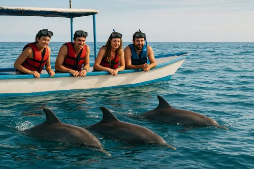 Lovina dolphin trip with snorkeling tour