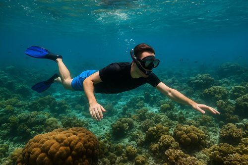 Nusa Penida Snorkeling - Bali Activity experience