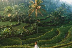 Tegalalang Rice Terrace 01 | www.balitouristic.com