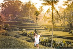 Tegalalang Rice Terrace 02 | www.balitouristic.com