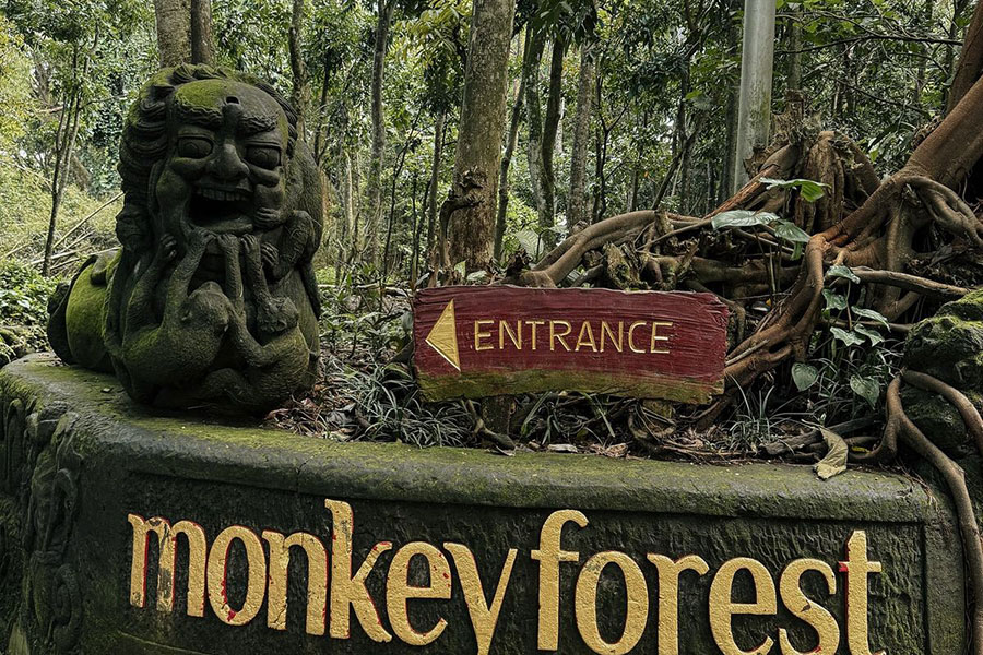 ubud monkey forest- ubud monkey temple