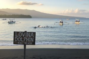 Bali Lovina Tours 01 | www.balitouristic.com