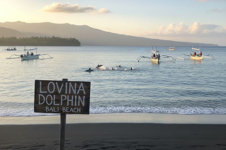 Bali Lovina Tours 01 | www.balitouristic.com