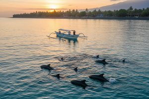 Bali Lovina Tours 02 | www.balitouristic.com