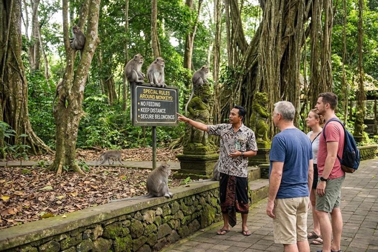 Bali Sangeh Trips Follow Special Rules Around Monkeys