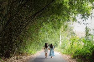 Bamboo Forest Spot Bali 01 | www.balitouristic.com