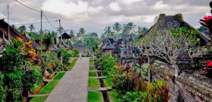 Exploring Authentic Village Life Through Luxury Tours in Bali | www.balitouristic.com