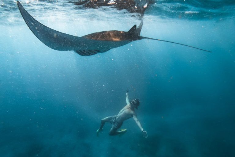 Best Bali Tour for Snorkeling: Swim with Turtles and Manta Rays
