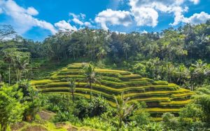 Not Just a Vacation Sustainable Travel Tips for Eco Conscious Bali Explorers | www.balitouristic.com