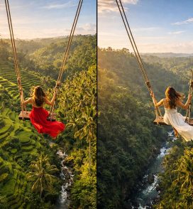 aloha swing vs bali swing | balitouristic.com