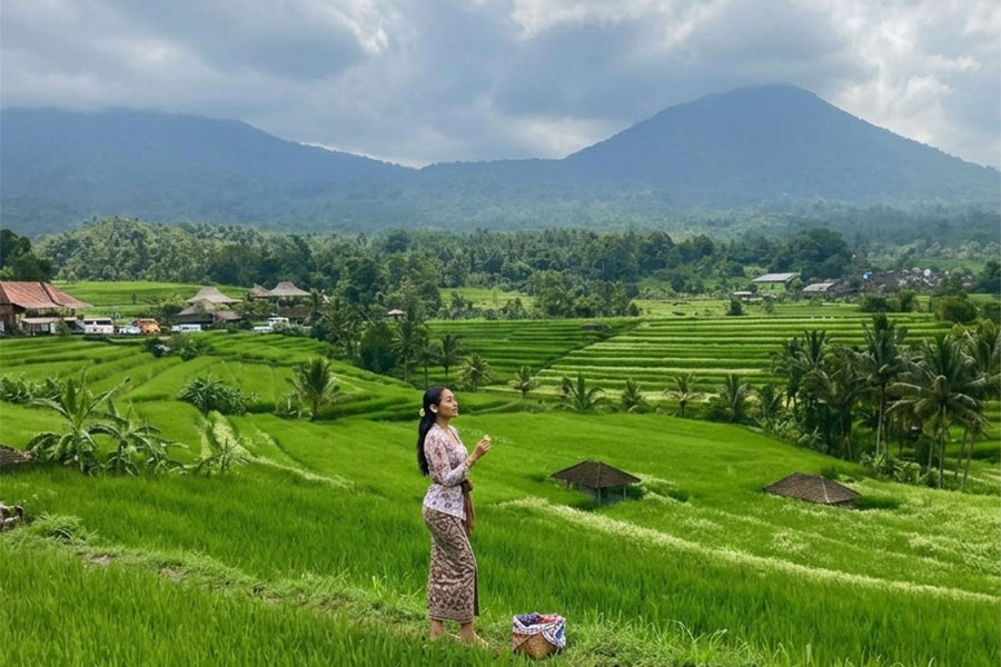 best rice terraces in bali | balitouristic.com