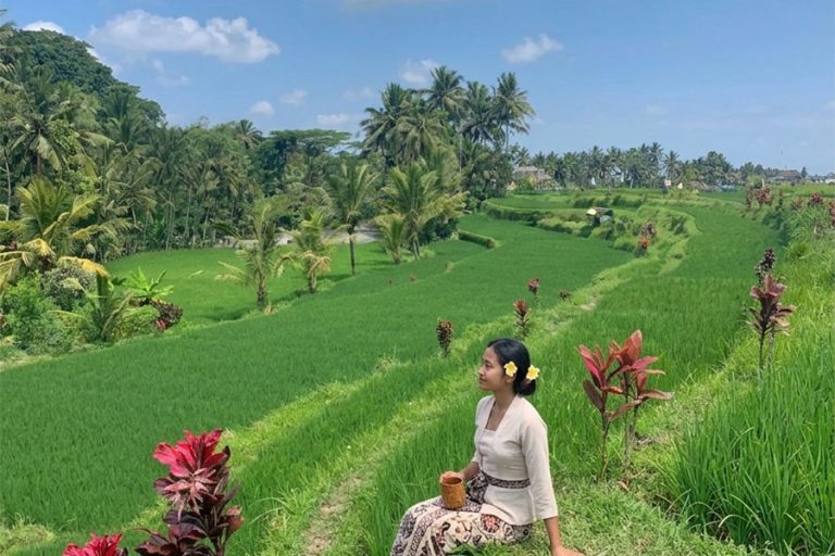 Best Rice Terraces in Bali: 20 Stunning Spots Worth Visiting