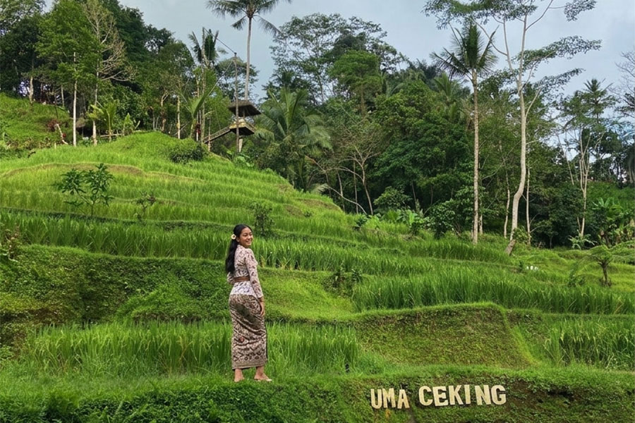 best rice terraces in bali | balitouristic.com