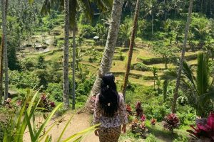 best rice terraces in bali | balitouristic.com