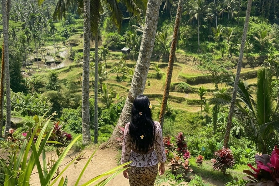 best rice terraces in bali | balitouristic.com