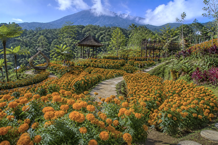 gemitir garden 2 | www.balitouristic.com