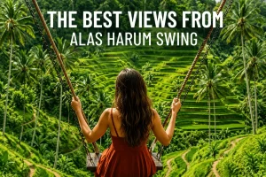 A traveler enjoying the famous jungle swing at Alas Harum Bali, surrounded by lush rice terraces, tropical palm trees, and breathtaking countryside scenery.