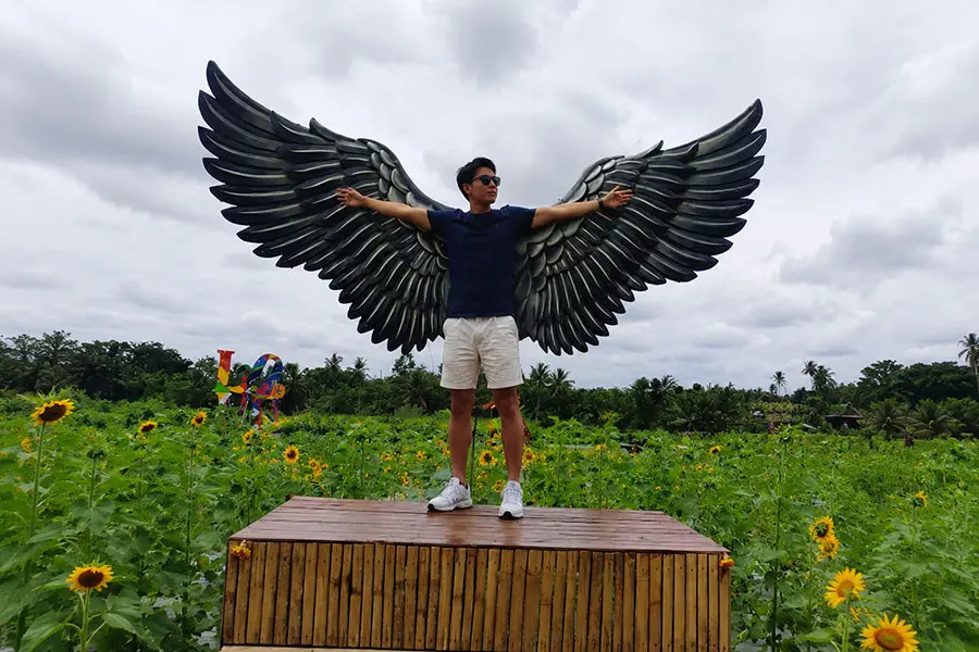 A male tourist standing on a wooden platform and posing with large decorative wings inside the sunflower garden belayu field. | balitouristic.com
