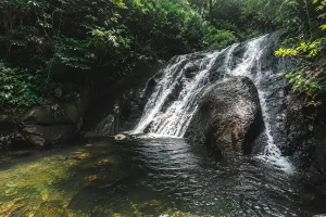 A beautiful hidden jungle waterfall flowing over rocks into a natural pool at tukad arca in Bali | balitouristic.com