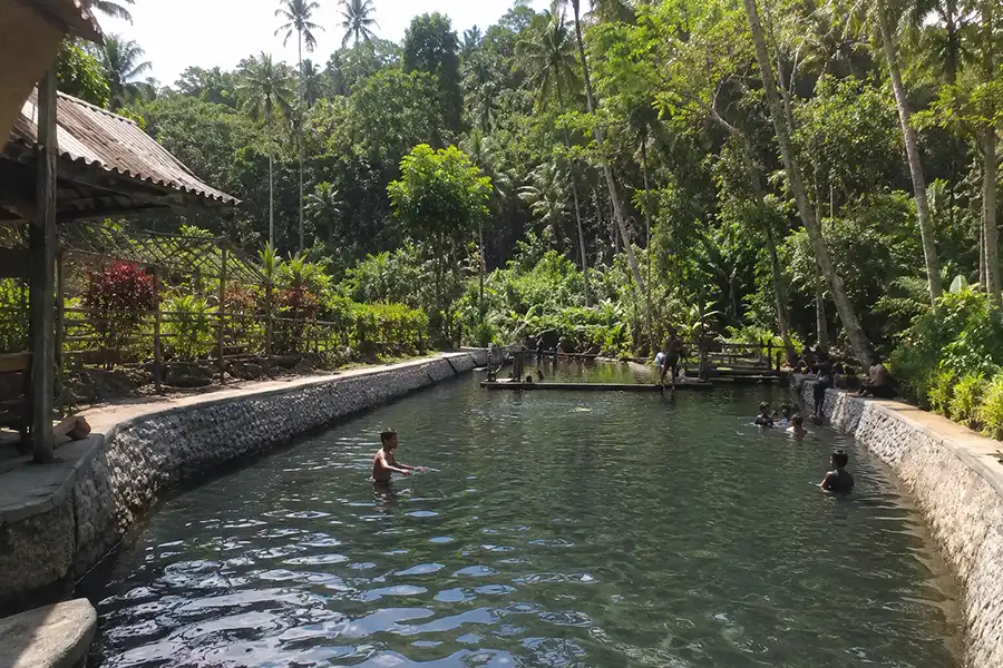 People swimming in a natural spring water pool surrounded by lush green forests at tukad arca | balitouristic.com