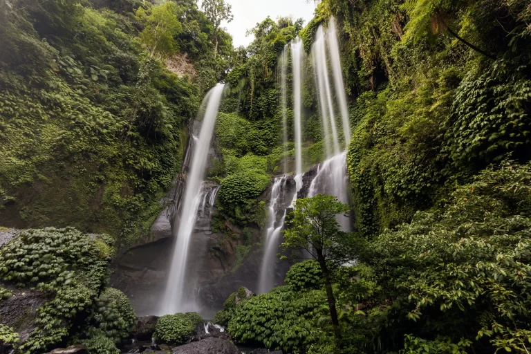 Sekumpul Waterfall, often called the most magnificent waterfall in Bali, with its seven cascades dropping around 80 meters into untouched jungle.