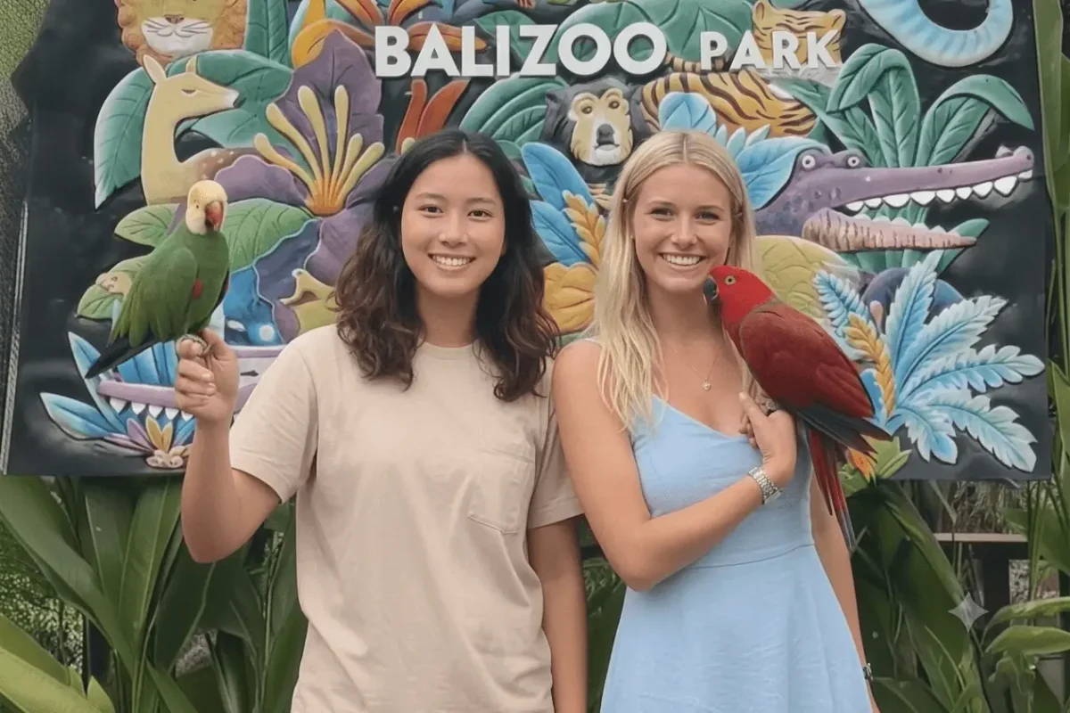 Vibrant parrots and tropical birds at Bali Bird Park, one of Bali’s most popular family-friendly wildlife attractions.