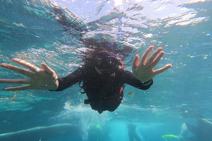 Snorkeling with manta rays at Manta Point during the best Bali tour for snorkeling