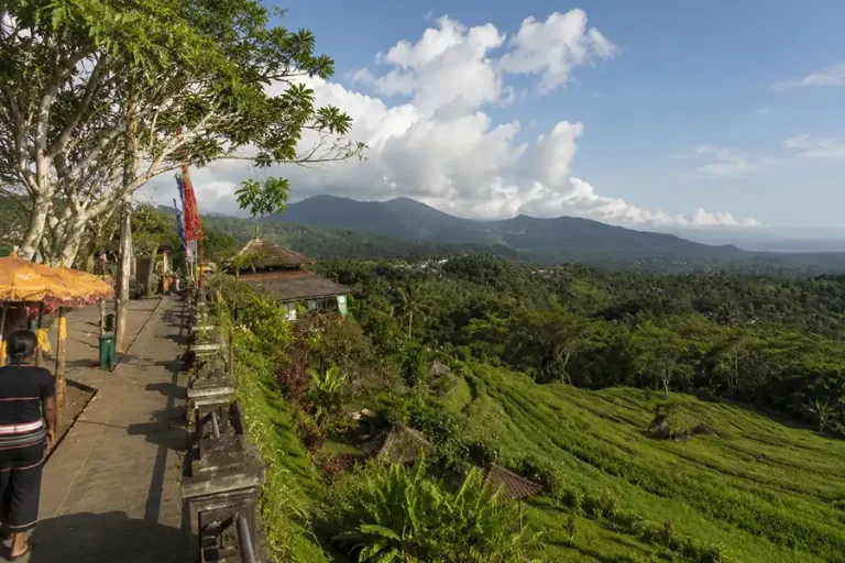 Jambul Hill Bali: Rice Terrace Views in Karangasem