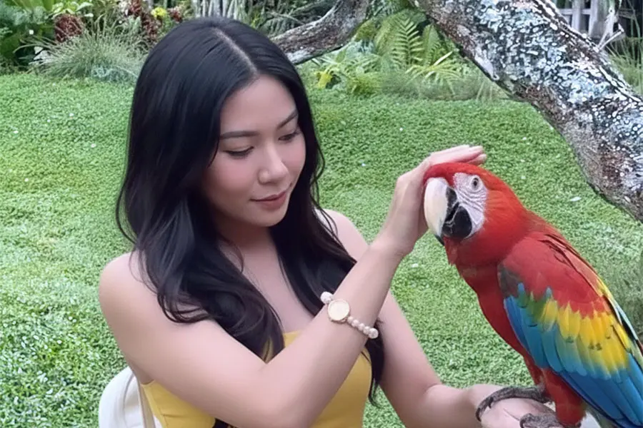 A female tourist smiling gently while petting a vibrant red, blue, and yellow Scarlet Macaw parrot at a wildlife park included in popular family tour packages. | balitouristic.com
