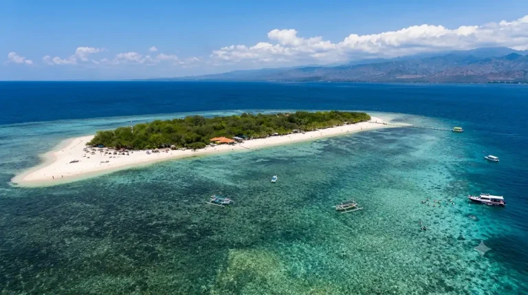 Menjangan Island: Snorkeling, Diving Complete Visitor Guide