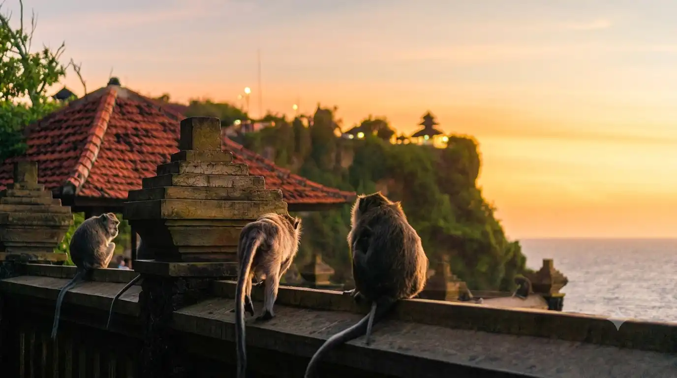 wild monkey near a cliff area in uluwatu bali