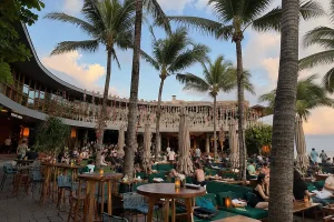A wide view of the crowded outdoor lawn and patio seating under tall palm trees during twilight at potato head bali.