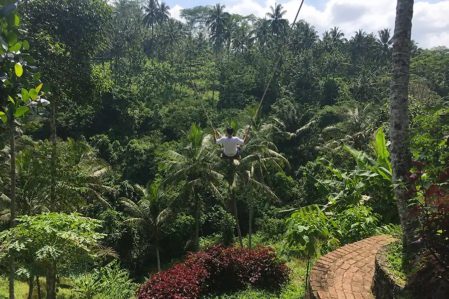Uma Pakel Ubud jungle swing with green valley view and coffee plantation