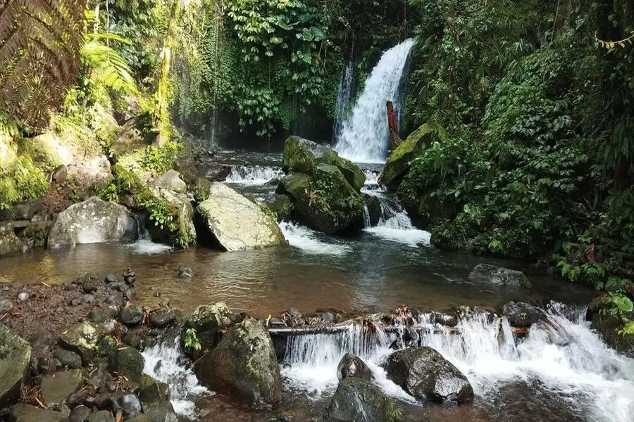 A traveler standing in a clear rocky stream pool surrounded by dense wild bamboo and tropical ferns leading to Yeh Hoo Waterfall.