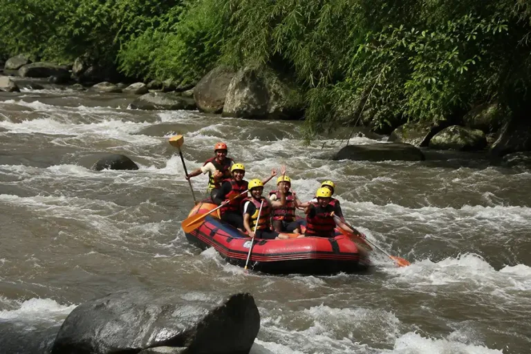 Ayung River Bali: Rafting Spot or Hidden Gem to Explore?