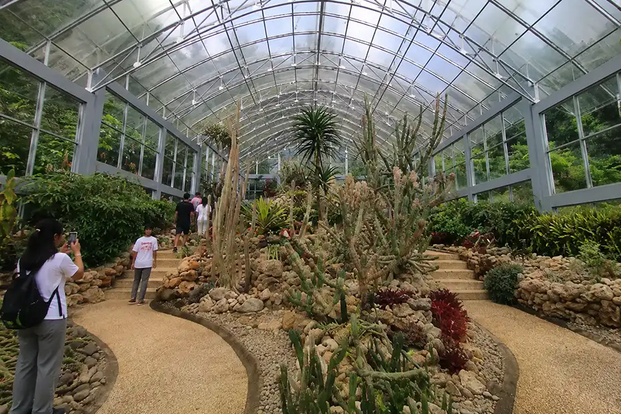 Visitors exploring a large glass dome greenhouse filled with various cacti, succulents, and tropical plants.