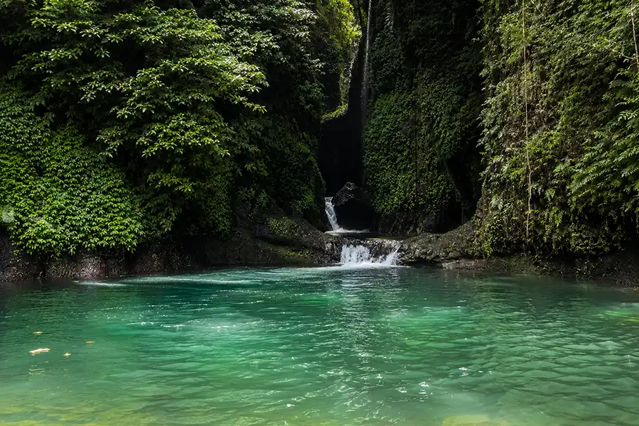 A turquoise natural swimming pool surrounded by dark rock cliffs covered in lush green vines.