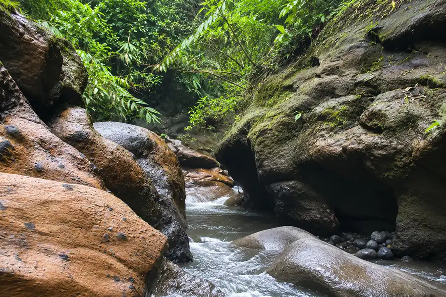 A freshwater stream rushing through a narrow canyon gorge framed by large smooth boulders and wild green trees.