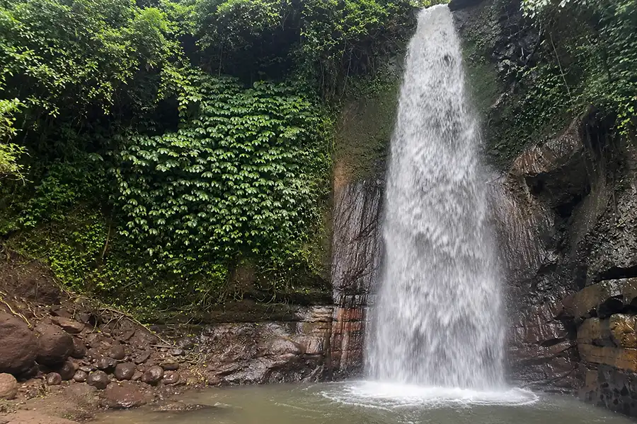 A tall, powerful stream of water pouring down a smooth dark cliffside covered in lush green vines into a small pool.