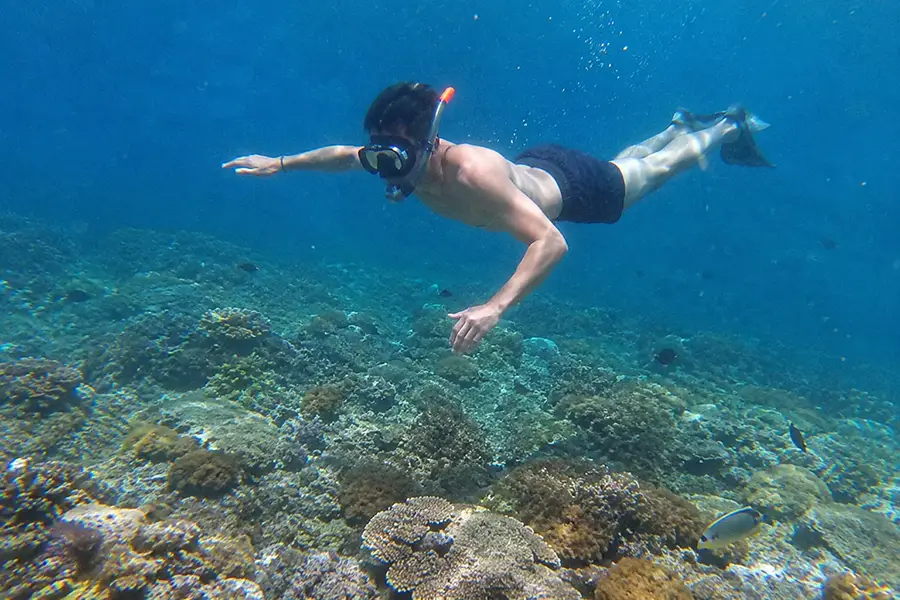 A man wearing a mask and fins swimming horizontally over a vast, healthy coral reef bed during a nusa penida snorkeling excursion.