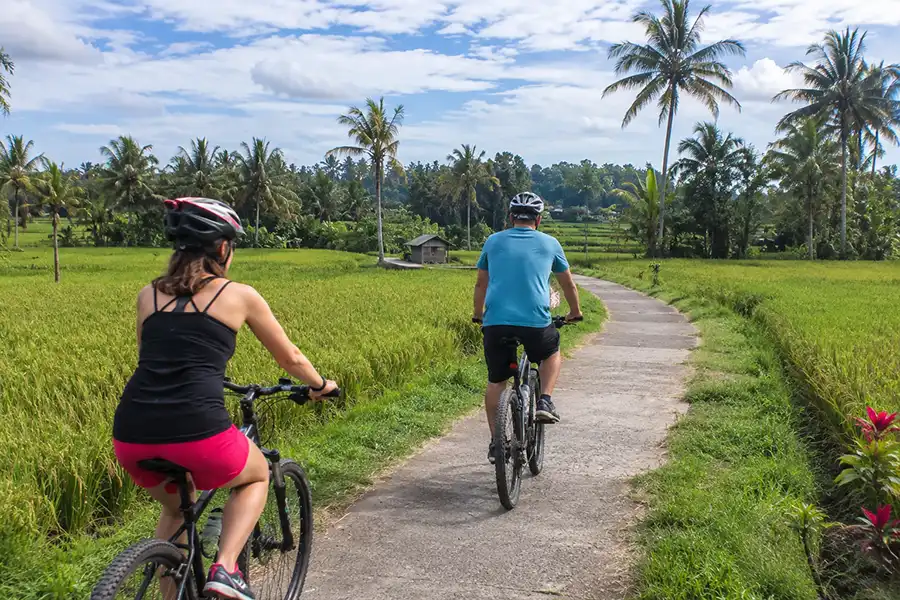A man and a woman riding mountain bikes down a narrow countryside path through lush green rice paddies on active tours in bali.